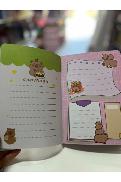 1000 çeşit hediye dünyası Notebook with Magnetic Cover Cappy Bara
