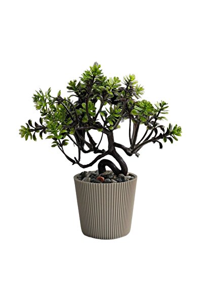 MDZ COLLECTION Mdz Home Dekoratif Küçük Saksı Yapraklı Yeşil Ağaç