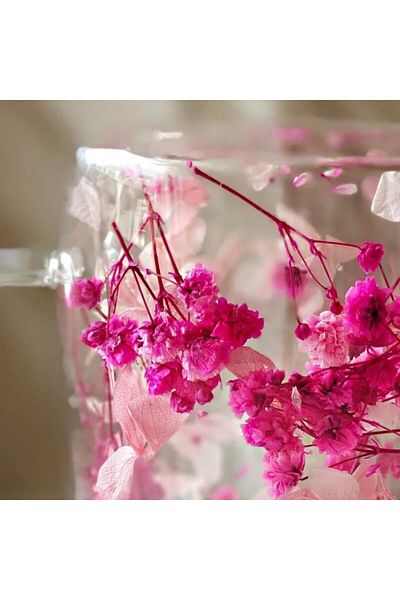 ECARLA Mug with dried pink gypsophila flowers, double walls, borosilicate glass, 300 ml, SZK149