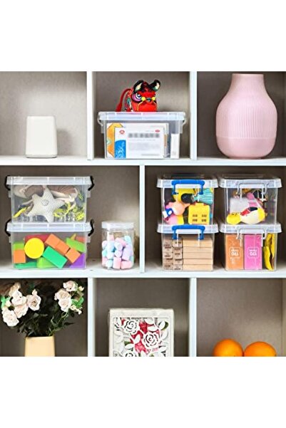 Generic Berdeng Small Plastic Storage Bins with Lids, 4 Quart Small Storage Latch Box, Stackable and Nestabl