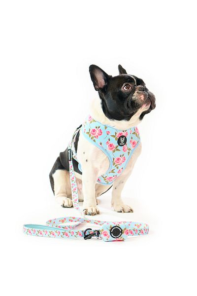 Famous Frenchie Set 3 piese, ham reversibil, lesa, accesoriu pungi pentru catei, Roses are Pink