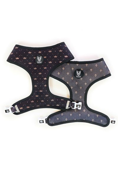 Famous Frenchie 3-piece set, reversible harness, leash, dog bag accessory, King & Queen