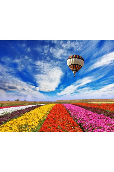 media Tablou canvas Balon peste camp de flori, 45 x 30 cm