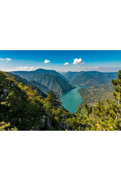 media Tablou canvas Natura178, 60 x 40 cm