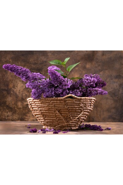 media Tablou canvas Flori liliac, cos impletit, buchet, 105 x 70 cm