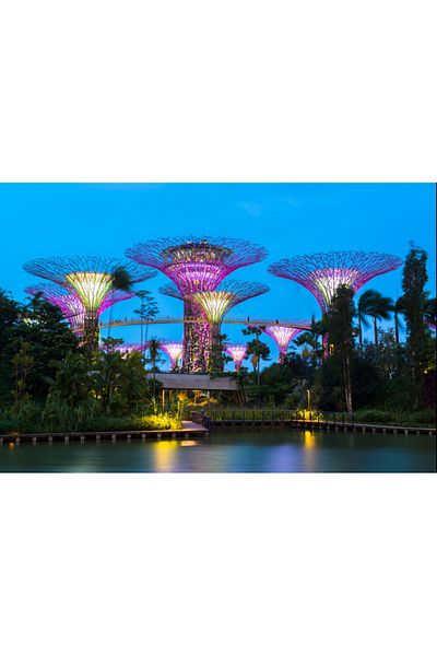 media Canvas painting Singapore Park 4, 60 x 40 cm