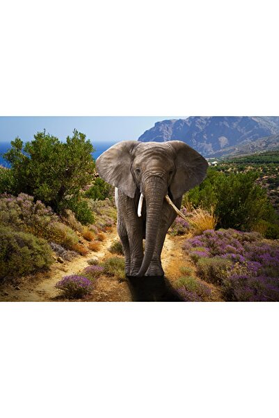 media Tablou canvas Elefant african, tufe cu flori, 60 x 40 cm