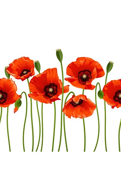 media Tablou canvas Flori25, 90 x 90 cm