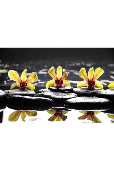 media Canvas painting Yellow orchids with stones, 60 x 40 cm