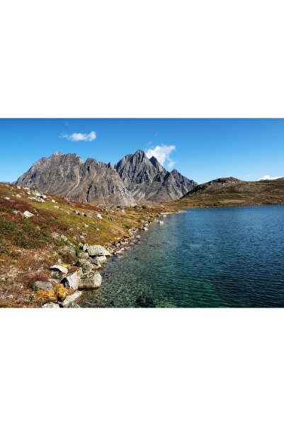 media Tablou canvas Natura78, 60 x 40 cm