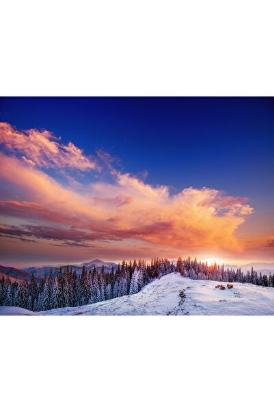 media Tablou canvas Natura140, 60 x 60 cm