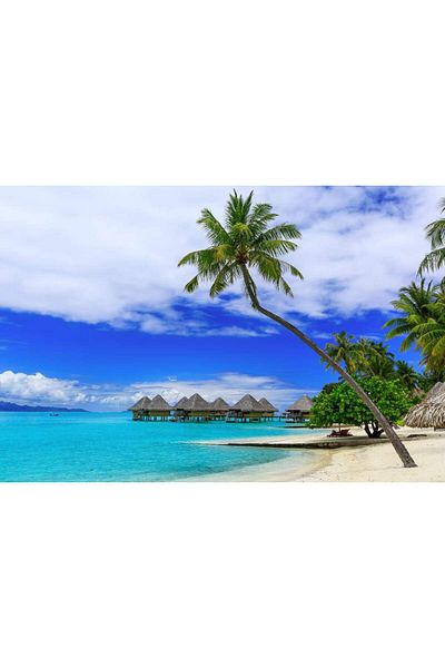 media Canvas painting Cottage vacation, 90 x 60 cm
