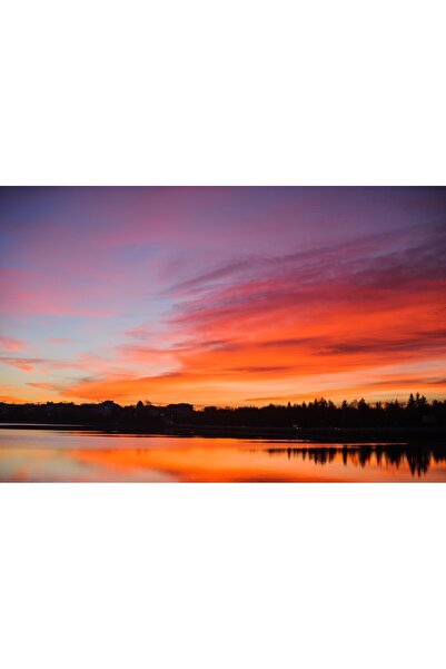 media Tablou canvas Natura133, 105 x 70 cm