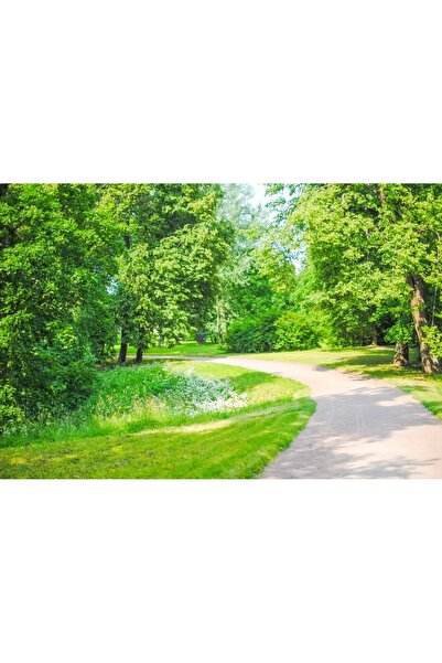 media Tablou canvas Padure2, 75 x 50 cm