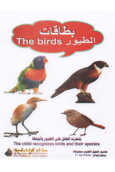 Educational Toys بطاقات تعليمية - الطيور