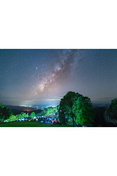 media Tablou canvas Natura128, 90 x 60 cm