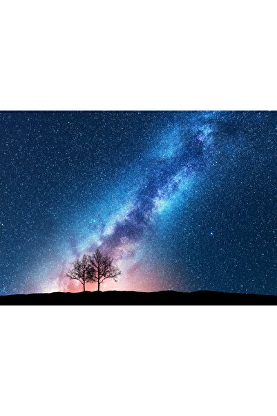 media Tablou canvas Univers8, 75 x 50 cm