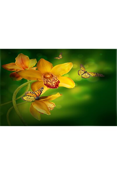 media Tablou canvas Orhidee galbene, fluturi, 90 x 60 cm