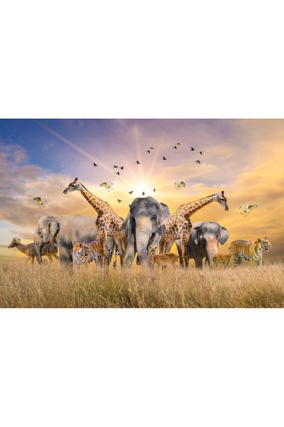 media Fototapet de perete autoadeziv si lavabil Animale din savana africana, 270 x 200 cm