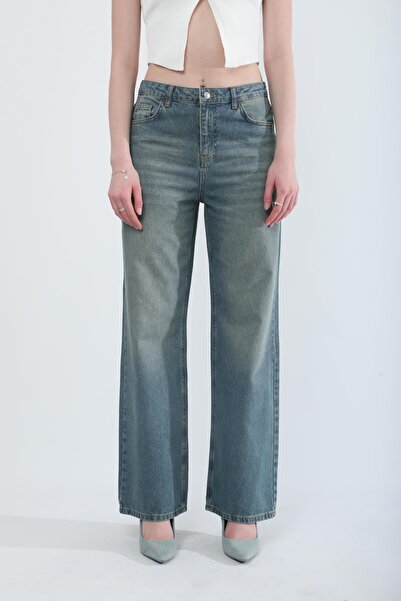 Bluewhite Women's High Waist Straight Fit Tint Jean Pants