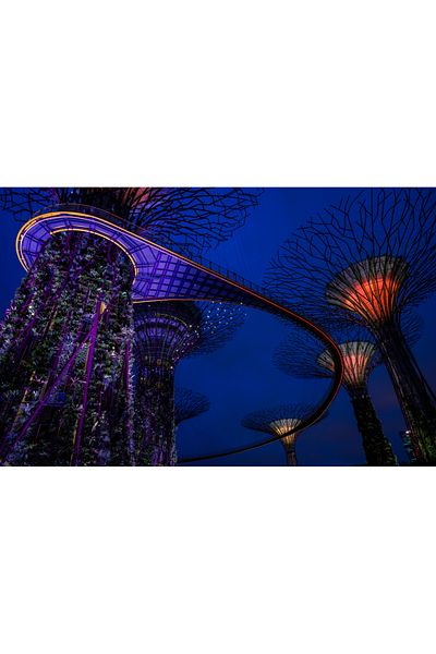 media Canvas painting Singapore Park 1, 105 x 70 cm
