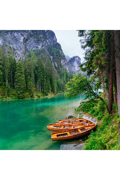 media Tablou canvas Natura157, 60 x 60 cm