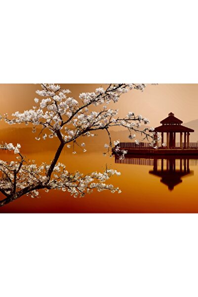 media Tablou canvas Natura 12, 45 x 30 cm