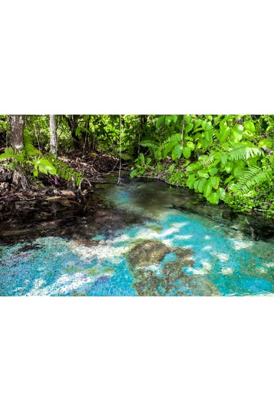 media Tablou canvas Natura51, 75 x 50 cm