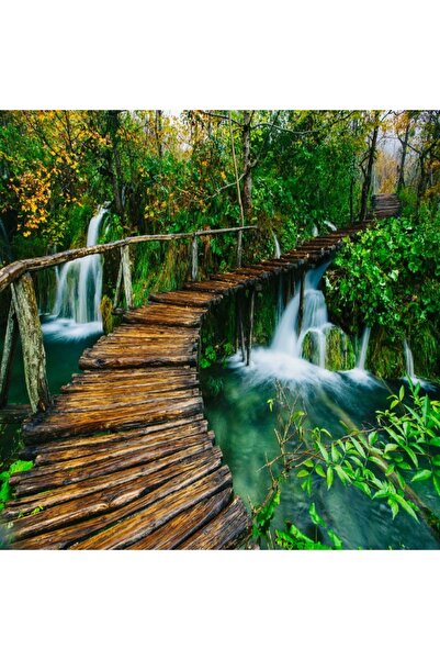 media Tablou canvas Pod lemn, padure, parc Plitvice2, 60 x 60 cm