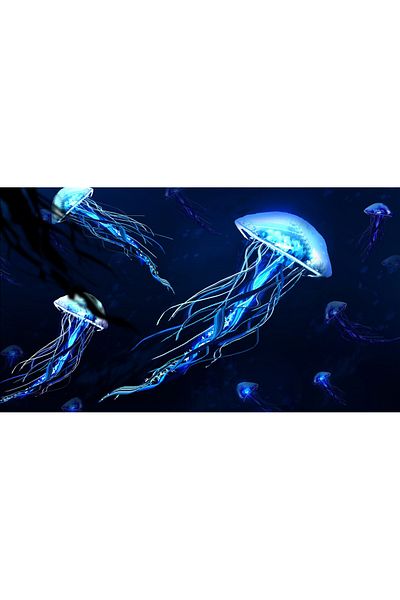 media Luminescent jellyfish canvas painting, 105 x 70 cm