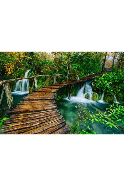 media Tablou canvas Pod lemn, padure, parc Plitvice2, 60 x 40 cm