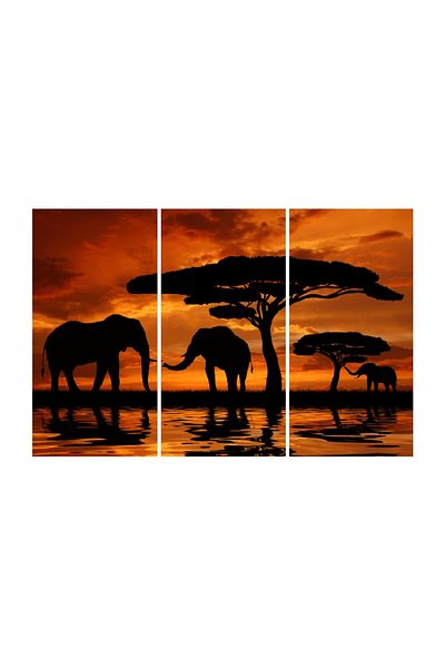 media 3-piece multicanvas painting Elephants 2, 120 x 80 cm