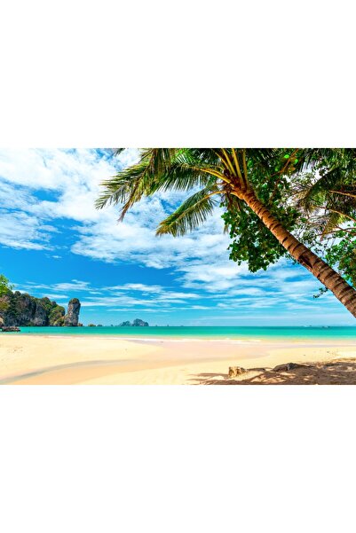 media Tablou canvas Palmier17, 45 x 30 cm