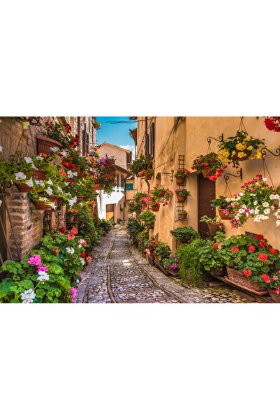 media Tablou canvas Strada pietruita, flori, oras medieval, 45 x 30 cm