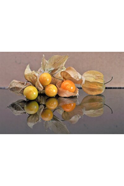 media Tablou canvas Compozitie4, 105 x 70 cm