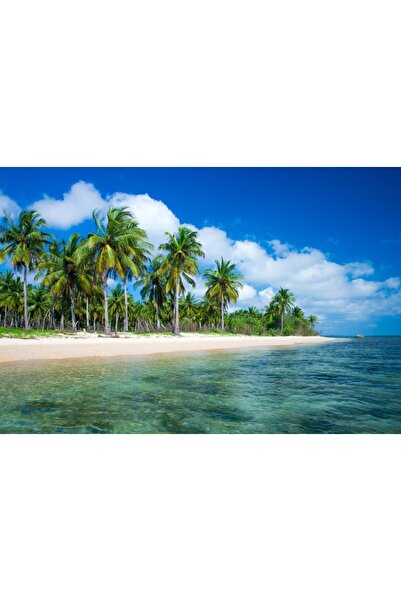 media Tablou canvas Palmier18, 90 x 60 cm