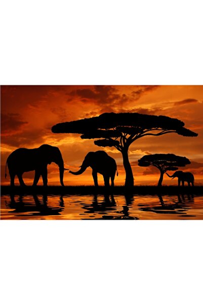 media Tablou canvas Elefanti 2, 60 x 40 cm