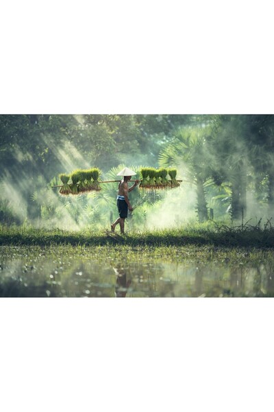 media Tablou canvas People17, 90 x 60 cm