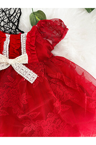 aysskids Manolya Kız Çocuk Kabarık Prenses Tütü Doğum Günü Bayramlık Elbise