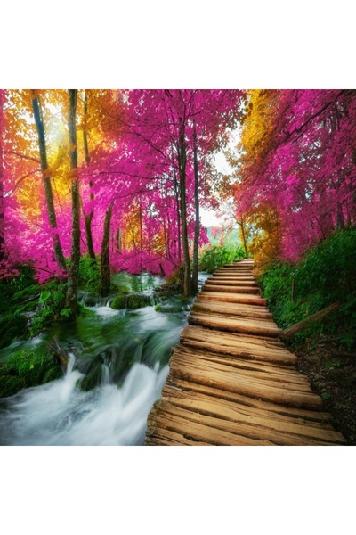 media Tablou canvas Podet lemn, parc national Plitvice2, 60 x 60 cm