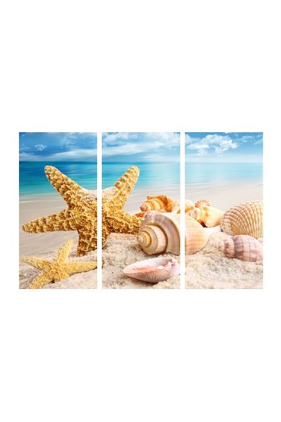 media Multicanvas painting 3 pieces Natura 20, 120 x 80 cm