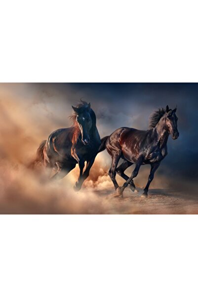 media Tablou canvas Cai negri, desert, apus de soare, 75 x 50 cm