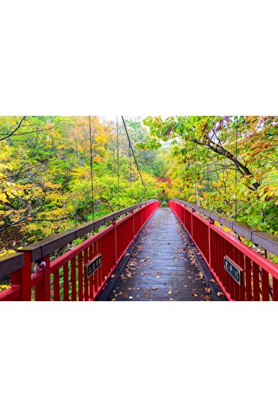 media Tablou canvas Padure13, 45 x 30 cm