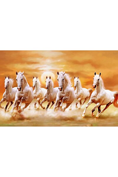 media Tablou canvas Cai 1, 60 x 40 cm