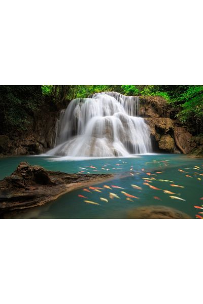 media Canvas painting Waterfall with fish, 60 x 40 cm