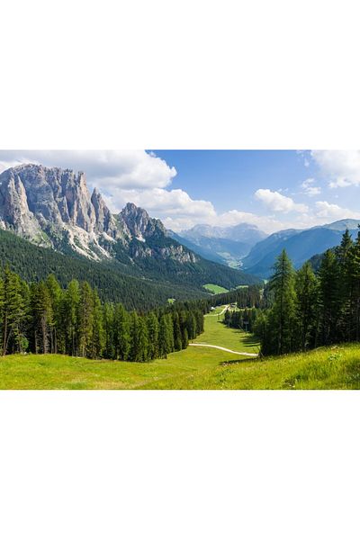 media Fototapet de perete autoadeziv si lavabil Natura46, 200 x 150 cm