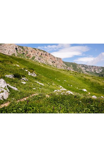 media Fototapet de perete autoadeziv si lavabil Natura90, 220 x 135 cm