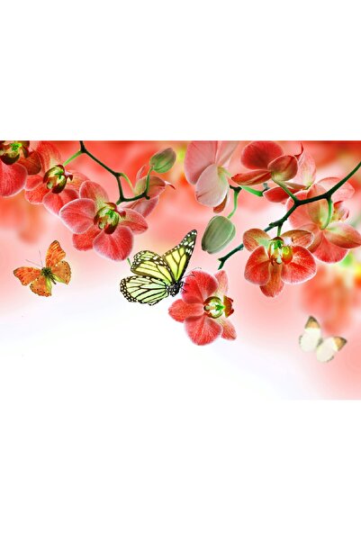 media Tablou canvas Flori 4, 45 x 30 cm