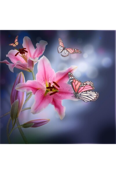 media Tablou canvas Crini roz, fluturi, 80 x 80 cm