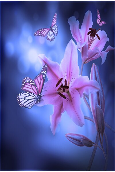 media Tablou canvas Crini mov, fluturi, 50 x 75 cm